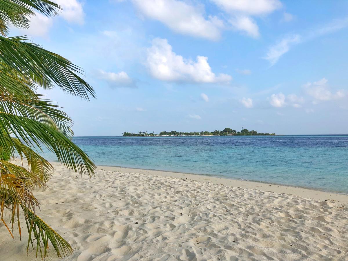 ホテル Wow Retreat フェリッドホー エクステリア 写真