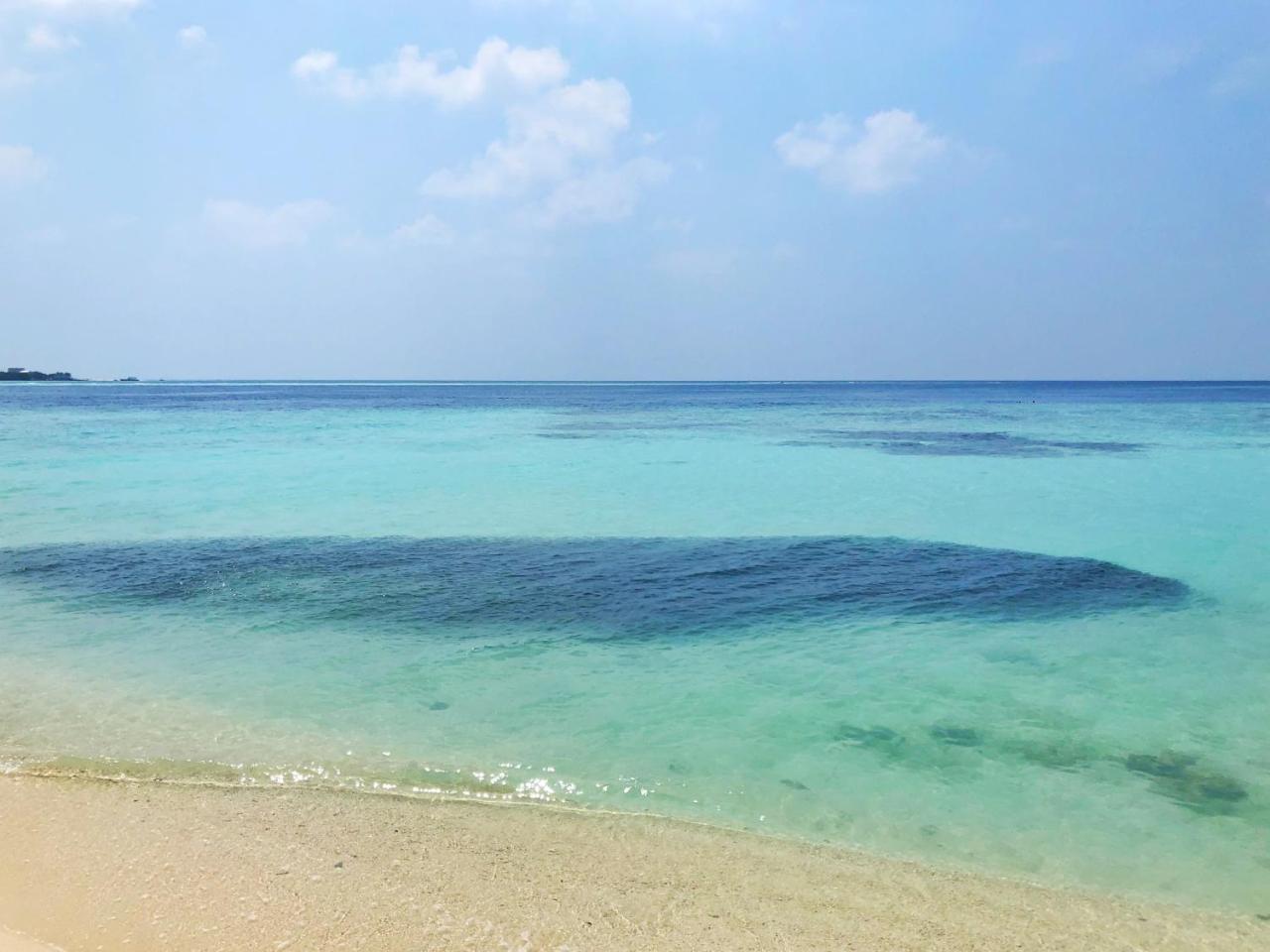 ホテル Wow Retreat フェリッドホー エクステリア 写真